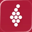 Vivino app icon