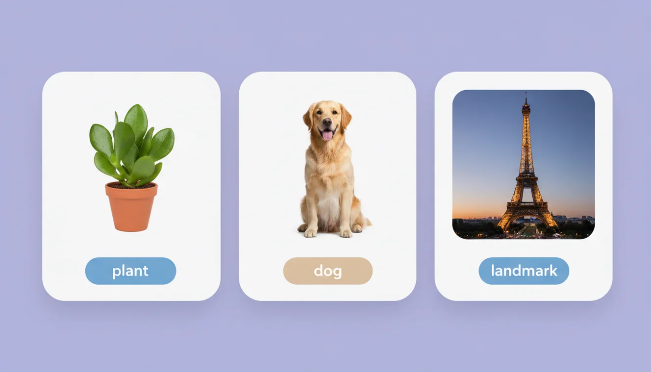 AI identification agent recognizing plants, animals, and objects in uploaded photos
