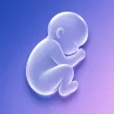 Contraction Timer & Tracker IO logo